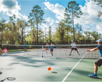 Pickle ball